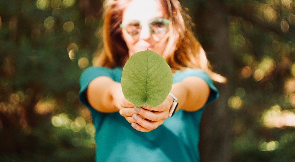 How Can Retailers Maximize Sustainability Without Sacrificing Profitability?